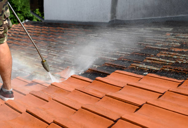 Best Pressure Washing Company Near Me  in Cameron, MO
